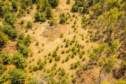 00  18th Ave, Necedah, WI 54646 - Photo 6