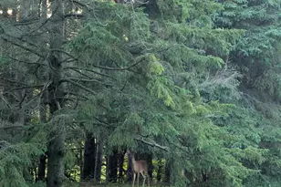 4804 County Hwy VV, Two Rivers, WI 54241 - Photo 36