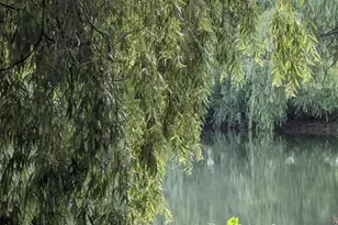 4804 County Hwy VV, Two Rivers, WI 54241 - Photo 38