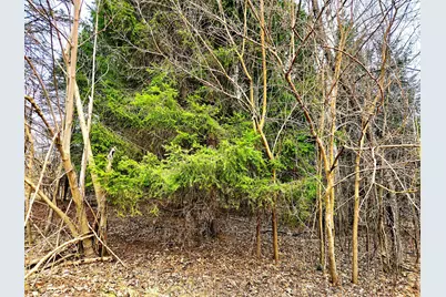 Lts 6-9  Arbutus Rd, Sugar Creek, WI 53121 - Photo 10