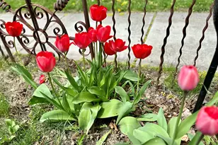 131 Oakland Ave, Mukwonago, WI 53149 - Photo 42