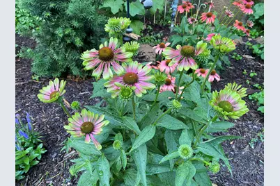 131  Oakland Ave, Mukwonago, WI 53149 - Photo 46