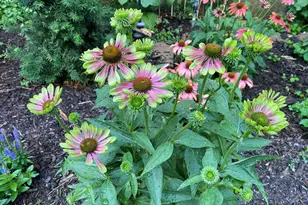 131 Oakland Ave, Mukwonago, WI 53149 - Photo 46