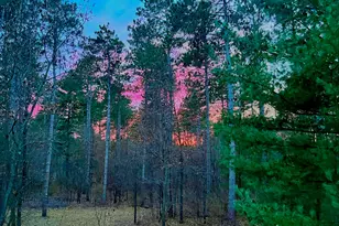 N13703 Canar Rd, Trempealeau, WI 54661 - Photo 76