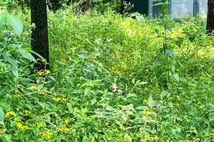 N13703 Canar Rd, Trempealeau, WI 54661 - Photo 70