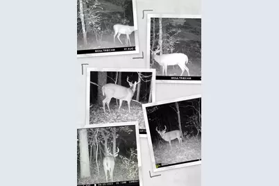 N13703  Canar Rd, Trempealeau, WI 54661 - Photo 74