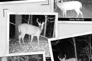 N13703 Canar Rd, Trempealeau, WI 54661 - Photo 74