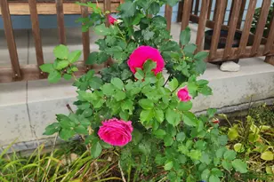 4008 Ridge Rd, Kewaskum, WI 53040 - Photo 24