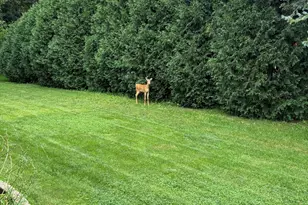 132 W Juniper Dr, Grafton, WI 53024 - Photo 28