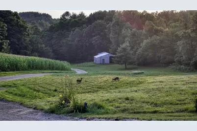 N7534  Skoy Coulee Rd, Farmington, WI 54644 - Photo 42