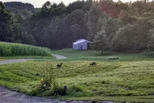 N7534 Skoy Coulee Rd, Farmington, WI 54644 - Photo 42