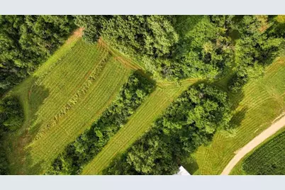 N7534  Skoy Coulee Rd, Farmington, WI 54644 - Photo 48