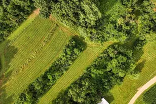 N7534 Skoy Coulee Rd, Farmington, WI 54644 - Photo 48