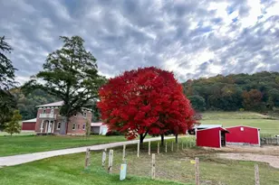 704 7th St, Brownsville, MN 55919 - Photo 20