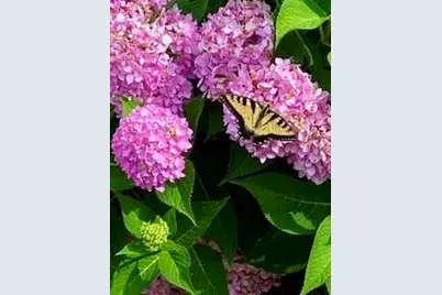 W3849  US Highway 14/61 -, Greenfield, WI 54623 - Photo 10