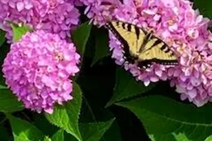 W3849 US Hwy 14/61 -, Greenfield, WI 54623 - Photo 10