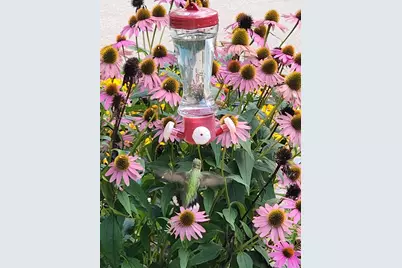 W4512  County Road Fo -, Shelby, WI 54601 - Photo 34