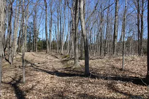 9561 Maple Tree Rd, Kewaskum, WI 53040 - Photo 44