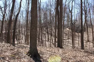 9561 Maple Tree Rd, Kewaskum, WI 53040 - Photo 42