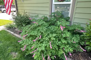 N169W20242 Wilshire Dr, Jackson, WI 53037 - Photo 26