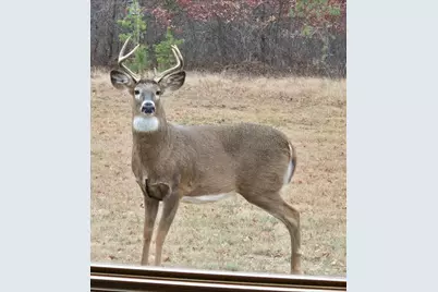 N11024  Deer Lake Rd, Stephenson, WI 54104 - Photo 76
