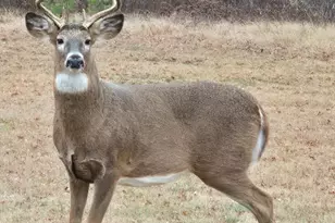 N11024 Deer Lake Rd, Stephenson, WI 54104 - Photo 76