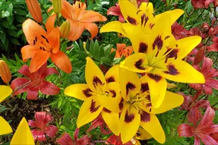 N11024 Deer Lake Rd, Stephenson, WI 54104 - Photo 72