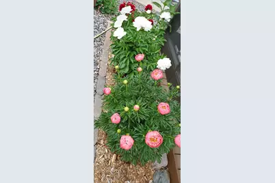 N11024  Deer Lake Rd, Stephenson, WI 54104 - Photo 74