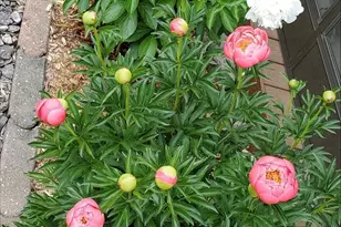 N11024 Deer Lake Rd, Stephenson, WI 54104 - Photo 74