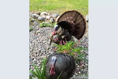 N11024  Deer Lake Rd, Stephenson, WI 54104 - Photo 70