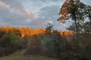 N11024 Deer Lake Rd, Stephenson, WI 54104 - Photo 58