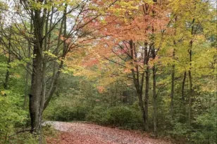 N11024 Deer Lake Rd, Stephenson, WI 54104 - Photo 58