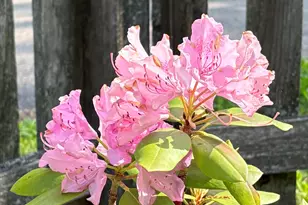 523 Valley Rd, Twin Lakes, WI 53181 - Photo 34