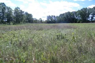 Lt2Lt3Lt4 Herman Rd, Manitowoc Rapids, WI 54220 - Photo 1