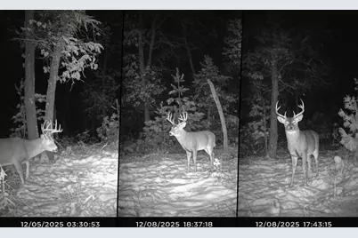 W6407  20th St, Necedah, WI 54646 - Photo 38