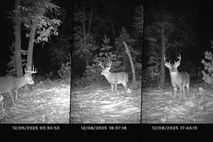 W6407 20th St, Necedah, WI 54646 - Photo 38