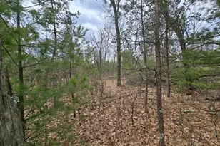 W6407 20th St, Necedah, WI 54646 - Photo 40