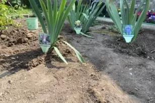 6120 242nd Ave, Paddock Lake, WI 53168 - Photo 28