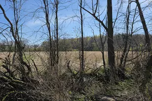 W985 Fur Farm Rd, New Holstein, WI 53061 - Photo 14