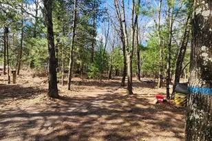 520 N 4th Ave, Lohrville, WI 54970 - Photo 4
