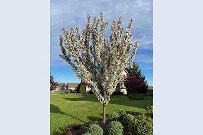 2216  11th St, Somers, WI 53140 - Photo 50