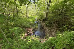 E11695 Chadwick Hollow Rd, Liberty, WI 54664 - Photo 42