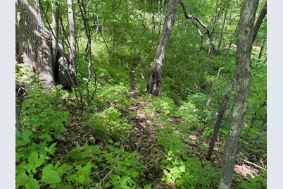 E11695  Chadwick Hollow Rd, Liberty, WI 54664 - Photo 40