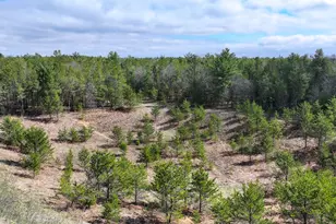 938 County Rd C, Big Flats, WI 54943 - Photo 48