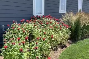 1919 Vincent Dr, Wilson, WI 53081 - Photo 60