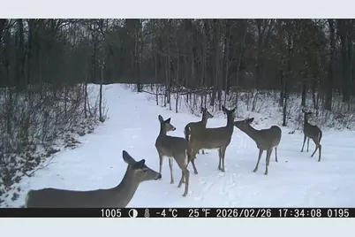 N10579  Deer Run, Stephenson, WI 54104 - Photo 90