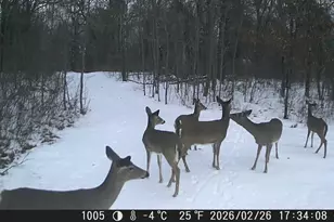 N10579 Deer Run, Stephenson, WI 54104 - Photo 90
