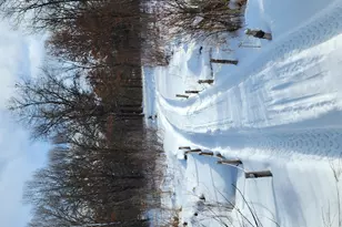 N10579 Deer Run, Stephenson, WI 54104 - Photo 86