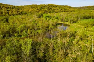 31821 State Hwy 131 -, Wauzeka, WI 53826 - Photo 46