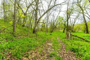 31821 State Hwy 131 -, Wauzeka, WI 53826 - Photo 40